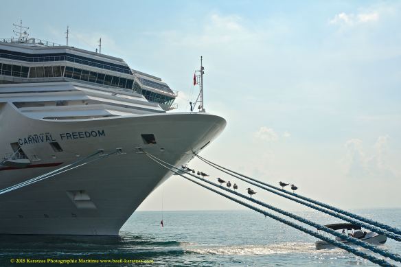 MV CARNIVAL FREEDOM 4@