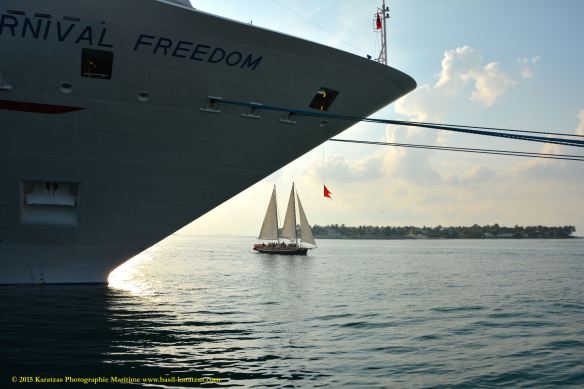 MV CARNIVAL FREEDOM 8a
