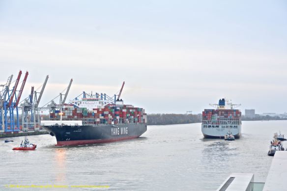 MV COSCO FAITH 17@ W: YM WHOLESOME