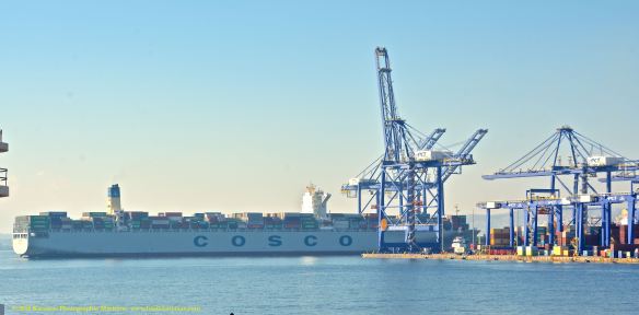 MV COSCO FORTUNE 1@
