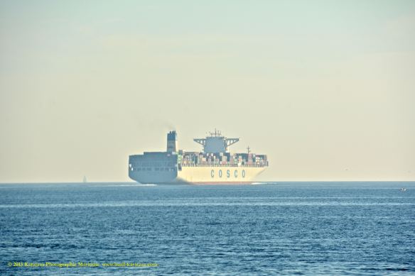 MV COSCO FORTUNE 14@