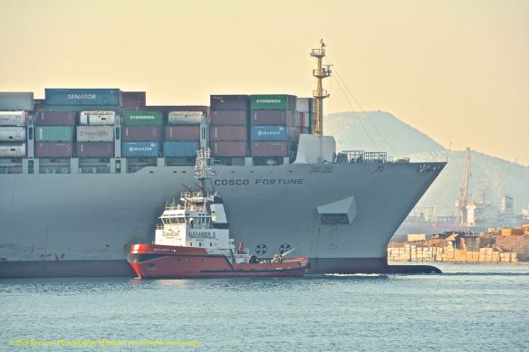 MV COSCO FORTUNE 3@