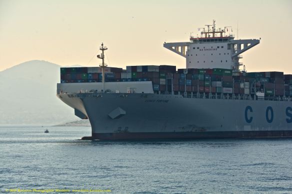 MV COSCO FORTUNE 5@