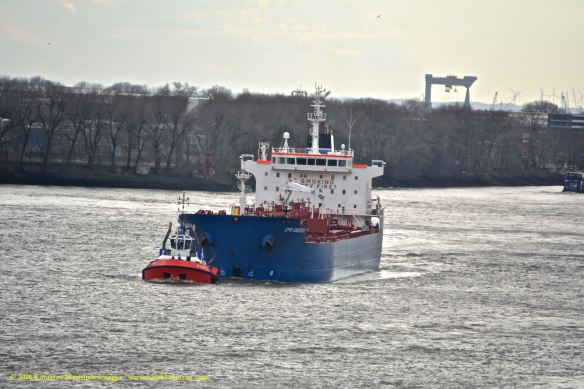 MT CPO SWEDEN 1 BMK_8106 @