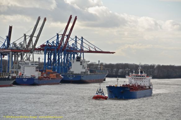 MT CPO SWEDEN 3 BMK_8136 @