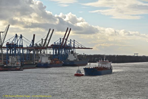 MT CPO SWEDEN 4 BMK_8142 @