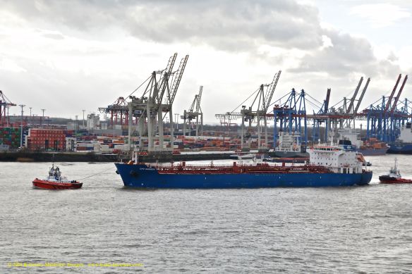 MT CPO SWEDEN 9 BMK_8183 @