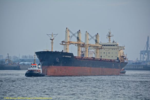 MV ID MERMAID 1 BMK_1108 @