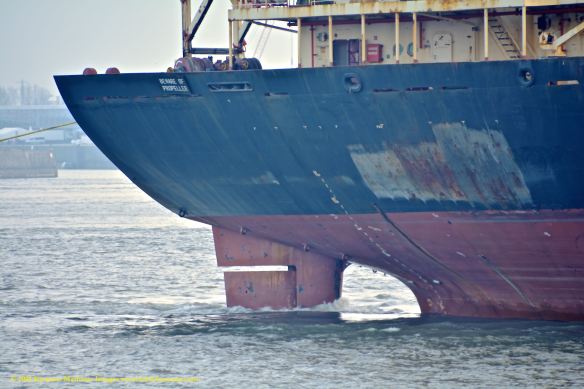 MV ID MERMAID 10 BMK_1360 @