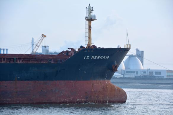 MV ID MERMAID 11 BMK_1392
