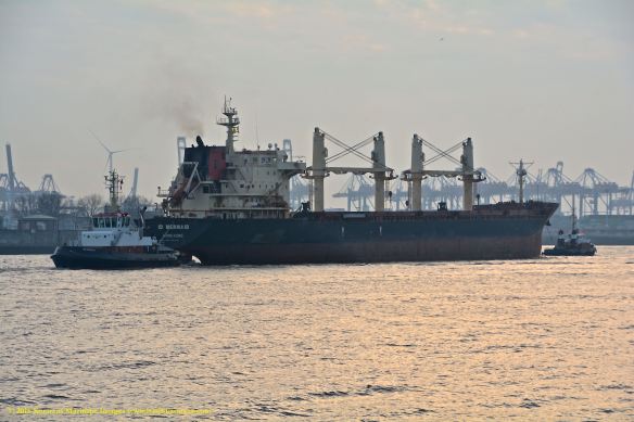 MV ID MERMAID 13 BMK_1710 @