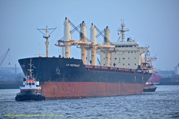 MV ID MERMAID 2 BMK_1132 @