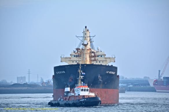 MV ID MERMAID 4 BMK_1164 @