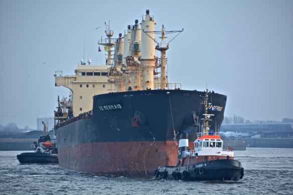 MV ID MERMAID 5 BMK_1180