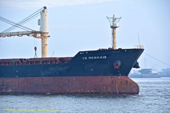 MV ID MERMAID 7 BMK_1246 @