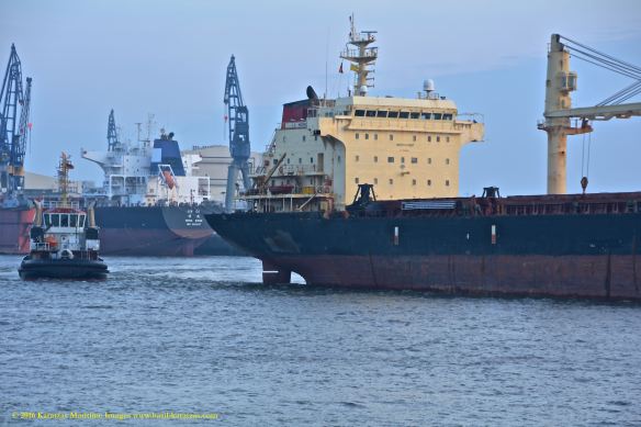 MV ID MERMAID 8 BMK_1258 @