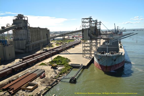 MV AMAMI K 12 BMK_6349 @