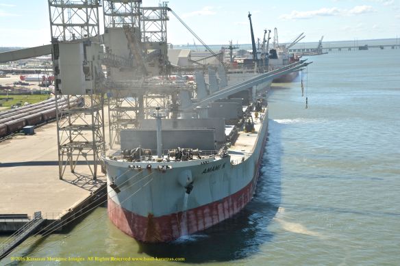 MV AMAMI K 4 BMK_6258 @