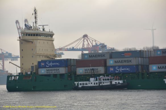 MV NORDIC STANI 6 BMK_9901 @