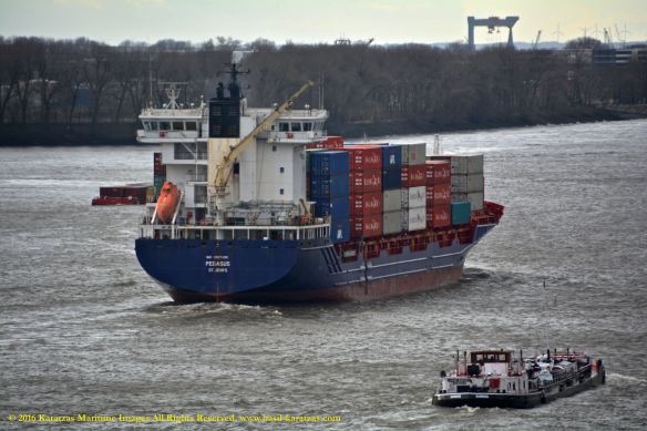 MV PEGASUS 13 BMK_8065 @