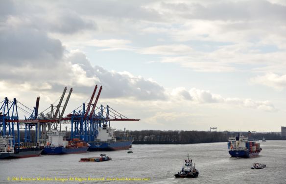 MV PEGASUS 14 BMK_8098 @