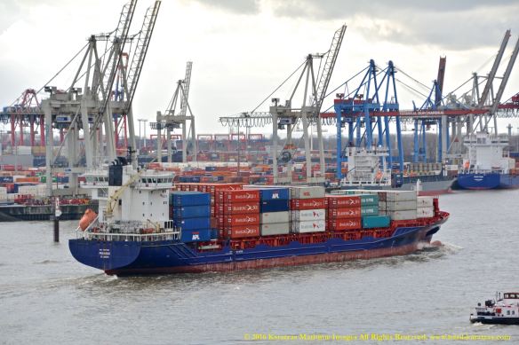 MV PEGASUS 7 BMK_8017 @