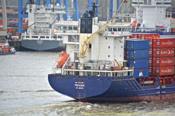 MV PEGASUS 9 BMK_8032 @