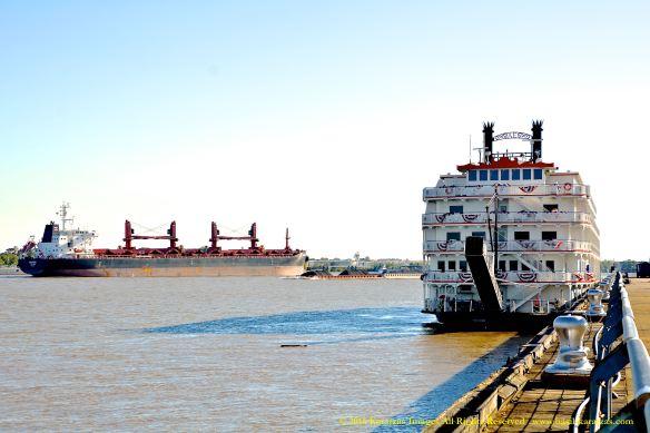 MV WUCHOW BMK_2344 12 @