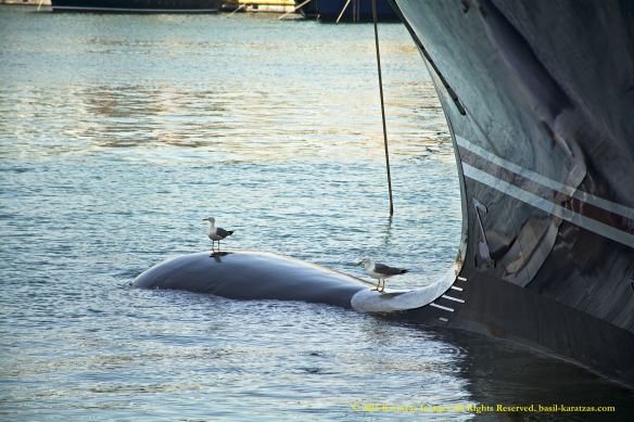 MY AL MIRQAB 4 BMK_9588 @