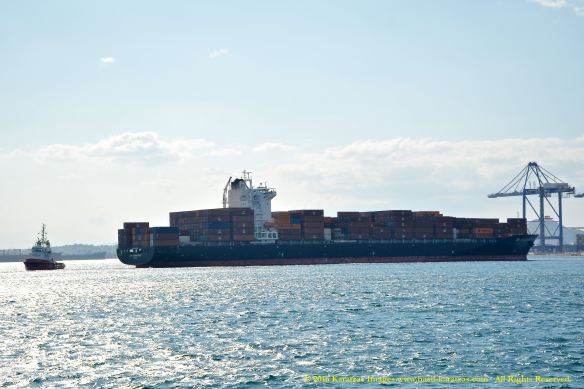 MV ZIM CONSTANZA 10 BMK_8543 @