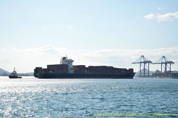 MV ZIM CONSTANZA 11 BMK_8531 @