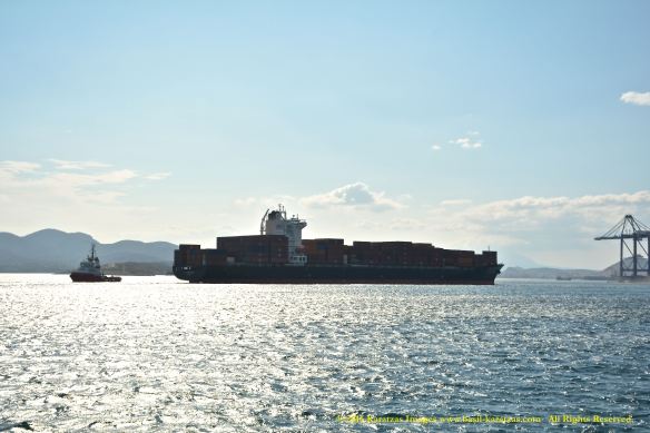 MV ZIM CONSTANZA 12 BMK_8497 @