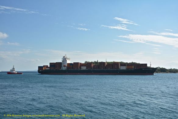 MV ZIM CONSTANZA 5 BMK_8428 @