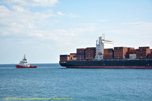 MV ZIM CONSTANZA 8 BMK_8413 @