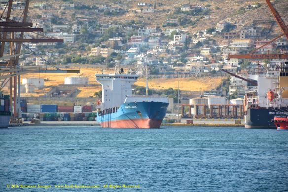 mv-asiatic-jade-1-bmk_3890