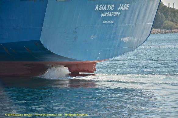 mv-asiatic-jade-12-bmk_4021
