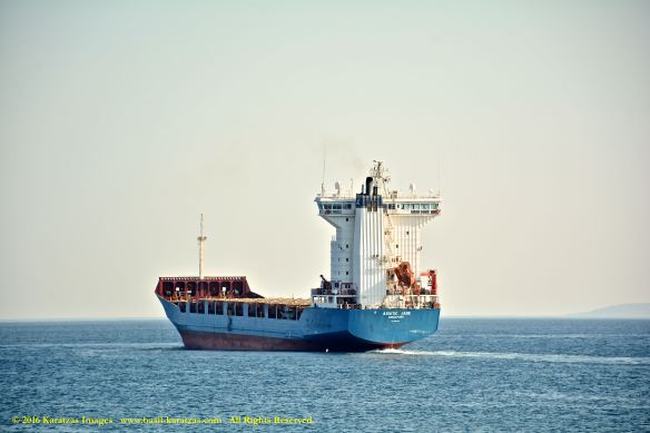 mv-asiatic-jade-13-bmk_4079