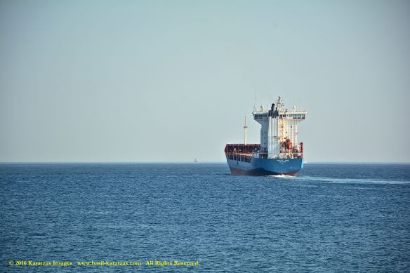 mv-asiatic-jade-14-bmk_4098