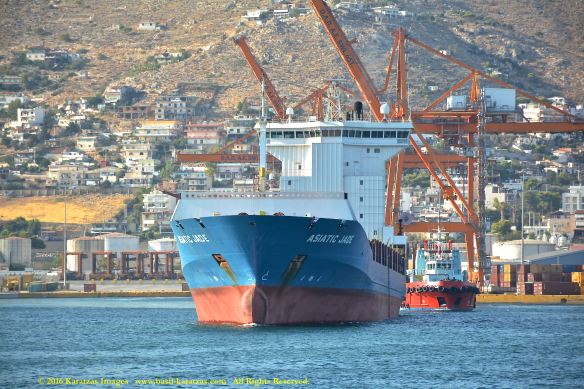 mv-asiatic-jade-3-bmk_3912