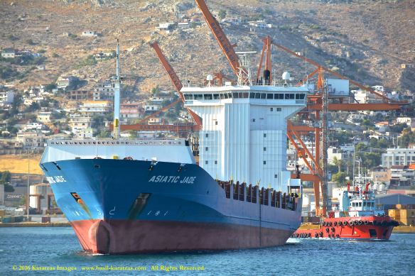 mv-asiatic-jade-4-bmk_3921