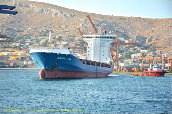 mv-asiatic-jade-5-bmk_3926