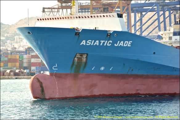 mv-asiatic-jade-8-bmk_3956