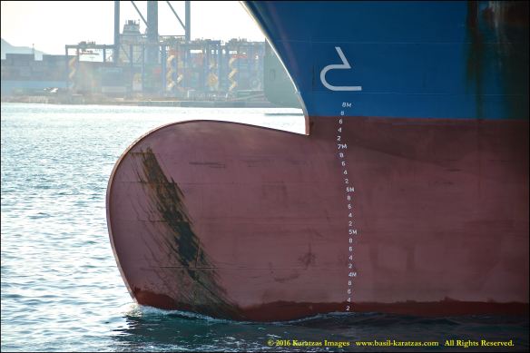 mv-asiatic-jade-9-bmk_3966