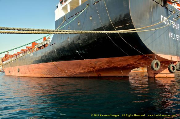 mv-contship-eco-7-bmk_5329