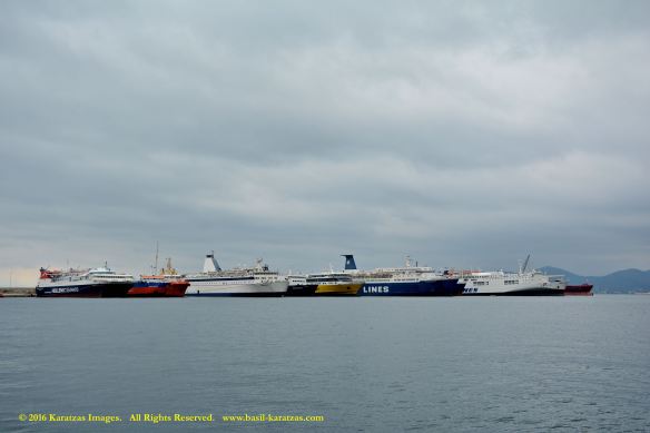 mv-fior-di-levante-15-bmk_0295