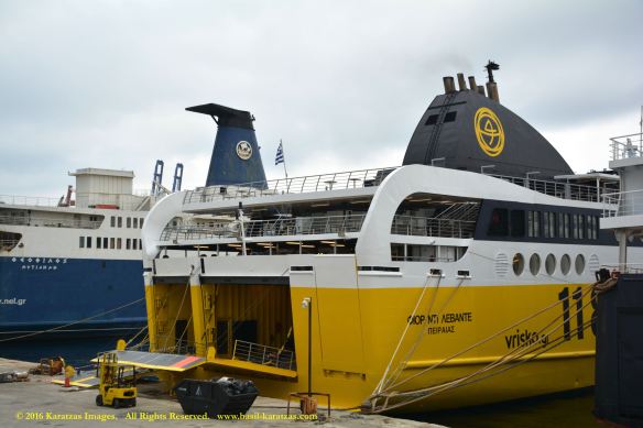 mv-fior-di-levante-8-bmk_9844