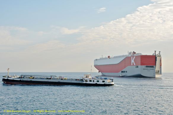 mv-horizon-highway-9-bmk_3327