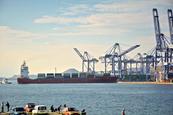 mv-king-basil-1-bmk_2815