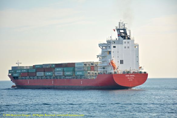 mv-king-basil-10-bmk_2987