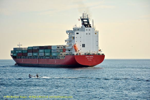 mv-king-basil-11-bmk_3000